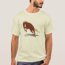 Recherche de bronc vêtements Cheval