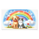 Recherche de chaton persan art Animaux