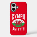 Recherche de celtique iphone coques Ascendance
