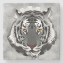 Recherche de tigre blanc dessous de verres Gros chats