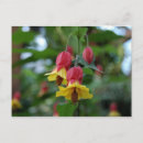 Recherche de conservatoire des fleurs Floral