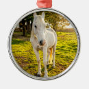 Recherche de animal de ferme ornements Xmas