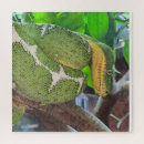 Recherche de serpent puzzles Vert