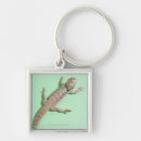 Recherche de barbu porteclés Animal