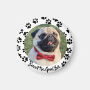 Recherche de de chien refrigérateur magnets Cadeau