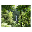 Zoek naar tropische waterval posters Fotografie