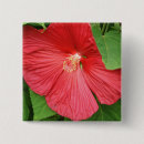 Recherche de brights badges Rose