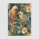 Zoek naar papegaai tissue papier Jungle