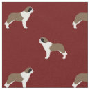Recherche de chien de bernard Saint