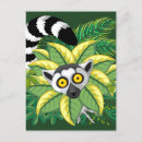 Recherche de primats cartes postales Jungle