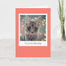 Recherche de salutation de minou Amour