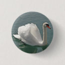 Recherche de cygne badges Animaux
