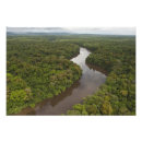 Recherche de guyane posters Paysage