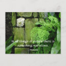 Recherche de jardins zen cartes postales Vert