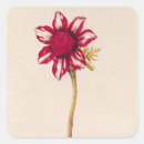 Zoek naar guirlande stickers Velijn