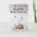 Recherche de dame de chat vœux cartes Mignon