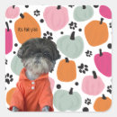 Zoek naar pomp stickers Schattig