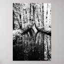 Recherche de contrasté posters Arbres