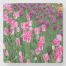 Zoek naar tulpen onderzetters Oranje