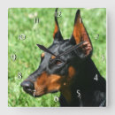Zoek naar pinscher kunst Dieren