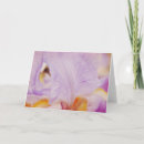 Recherche de iris vœux cartes Rose