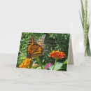 Recherche de belles fleurs vœux cartes Papillon