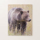 Zoek naar yellowstone puzzels Beer