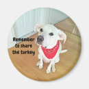 Recherche de foulard magnets Adorable