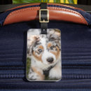 Recherche de australian shepherd accessoires Animaux domestiques