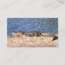 Recherche de crocodiles cartes visite Sauvage