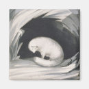 Recherche de renard arctique magnets Sauvage