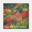 Recherche de chute magnets Couleurs d'automne