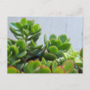 Recherche de en céramique cartes postales Vert