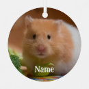 Recherche de syrien ornements Animal