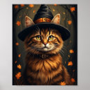 Recherche de chat sorcière posters Animal