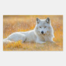 Recherche de portrait de loup autocollants Sauvage