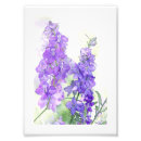 Recherche de fleurs de digitale art Violet