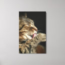 Recherche de langue impressions sur toile Vertical