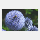 Recherche de chardon autocollants Bleu