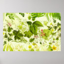 Recherche de watercolor forest posters Nature