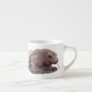 Recherche de dragon komodo tasses Comodo draon