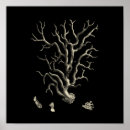 Recherche de ton de sépia posters Nature