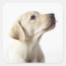 Recherche de anticipation autocollants Animaux