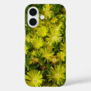Recherche de iceberg coques Nature