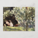 Recherche de rossis cartes postales Peinture