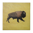 Recherche de bison carreaux Buffle