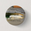 Recherche de ursus badges Ours blanc