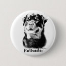 Recherche de rottweiler badges Vacances