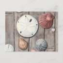Recherche de megan cartes postales Coquille de conque
