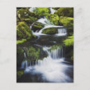 Recherche de mousse cartes postales Océan